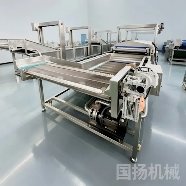 巴氏杀菌机 肉制品巴氏杀菌流水线 酱腌菜加工设备 国扬