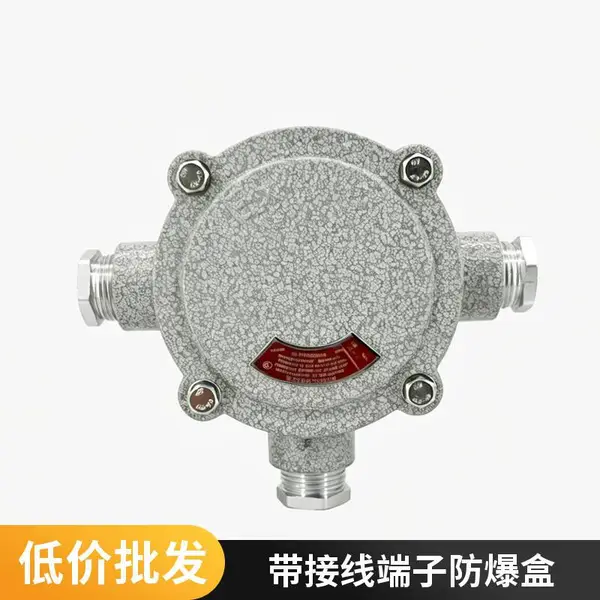 隔爆防爆接线箱 Exd IIBT6 多回路电缆汇集箱仪表线路转接箱体