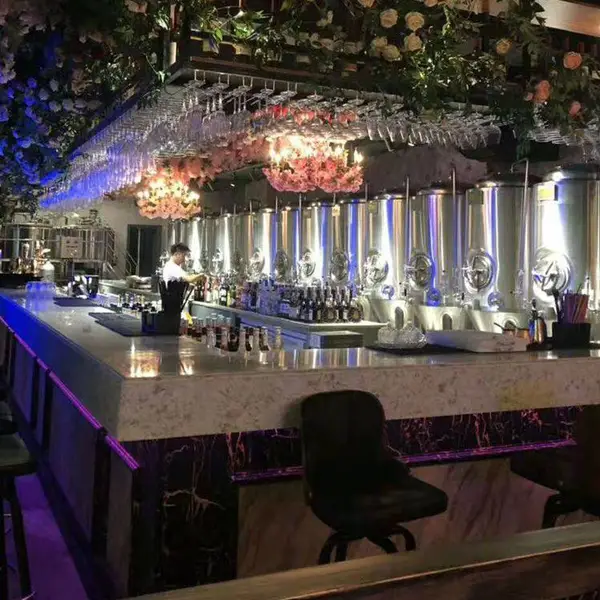 酒吧KTV原浆啤酒设备 精酿啤酒设备厂家
