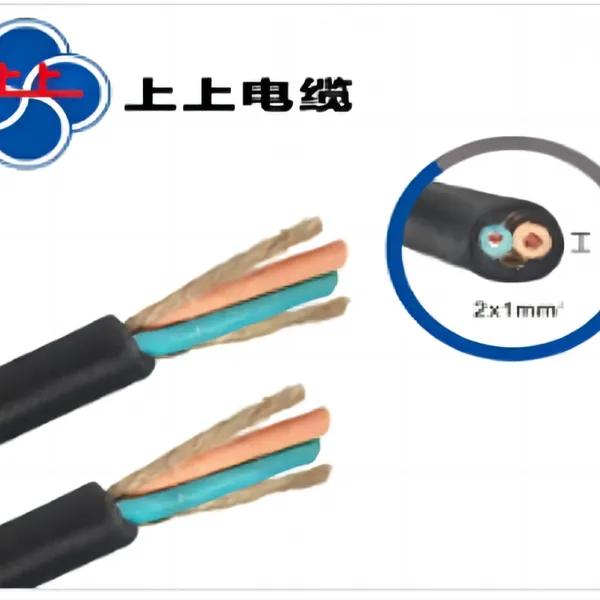 上上电缆集团RVV 2*1铜芯软电源线
