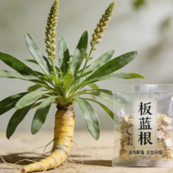 板蓝根检测中，板蓝根成分分析