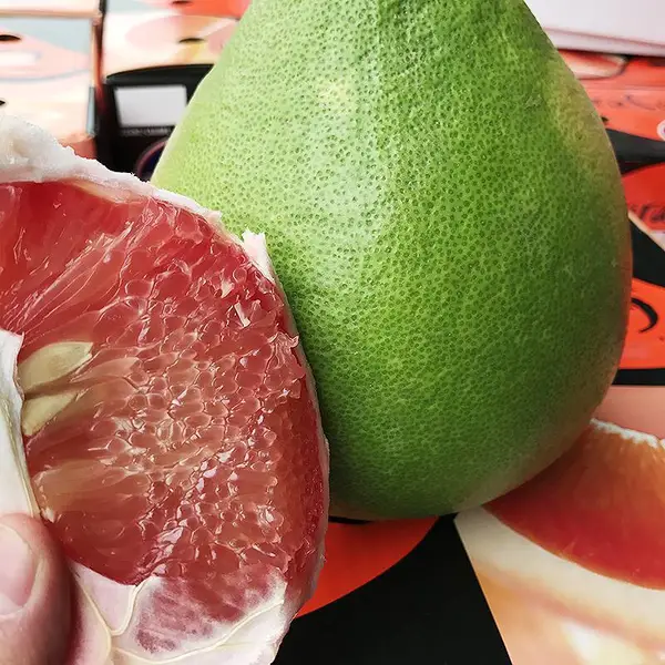 广西泰国红宝石柚子树苗/南宁适合种植泰国红宝石青柚苗吗/新品种
