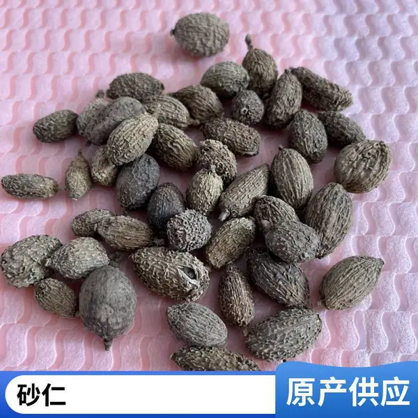 ��ɳ����ҩ ҩʳͬԴ��Ѭ��Ʒ��***������������ֱ��ȫ������