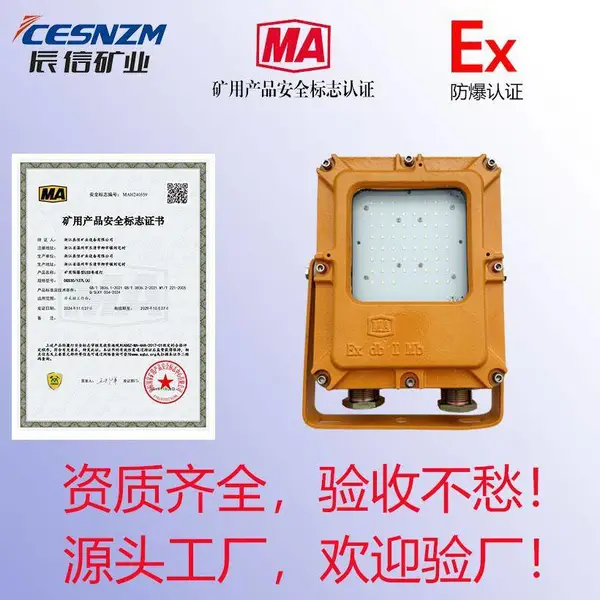 矿用LED工业照明铸钢支架灯 DGC48/127L(A) 源头厂家量大价优