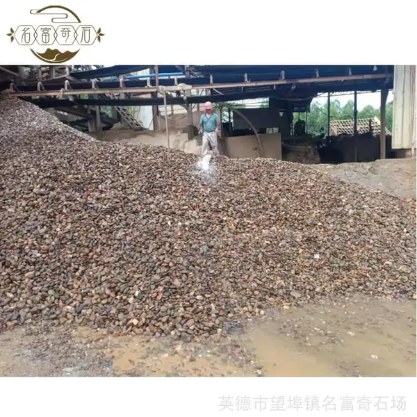 广东鹅卵石家装建材 园林铺路抛光鹅卵石 园林景观石