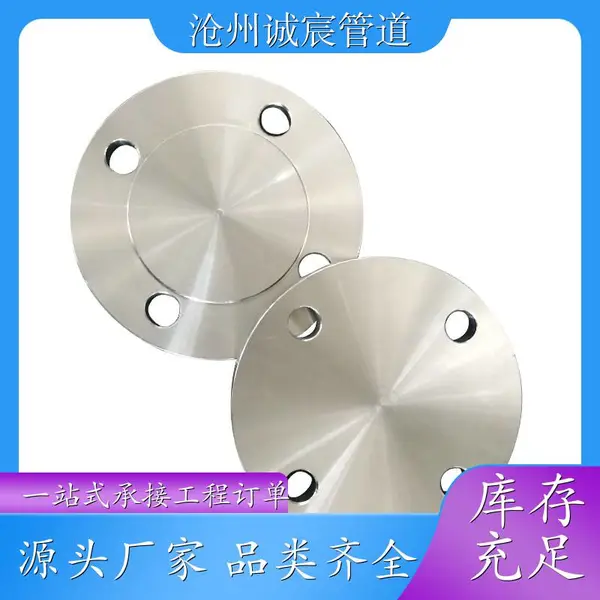 广西贺州诚宸管道工业用推制定制316耐腐蚀盲板工厂直销
