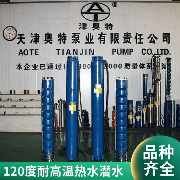 热水潜水泵厂家 QJR温泉泵 地热井泵型号 20年经验 产品质量好