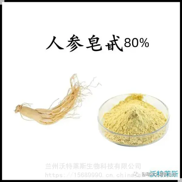 人参皂甙80% 人参提取物 人参速溶粉 人参多肽98%