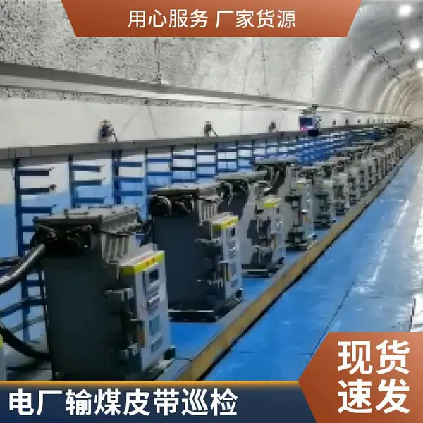 输煤栈桥巡检机器人 轨道式巡检装置 温度监测 工业级 山西厂家