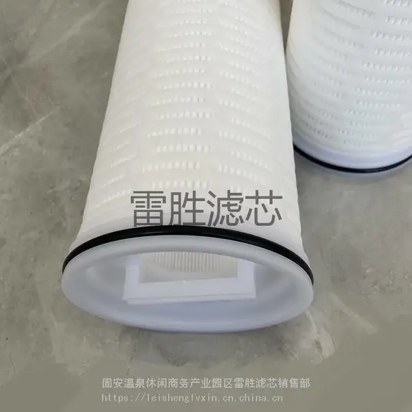 供应水过滤器滤芯 20 40 60英寸折叠保安滤芯 寿命长 雷胜 可定制