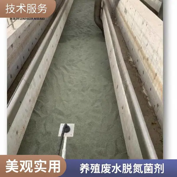 菌方 脱氮用 多孔菌块 好氧反硝化脱氮菌块 养殖废水 现货