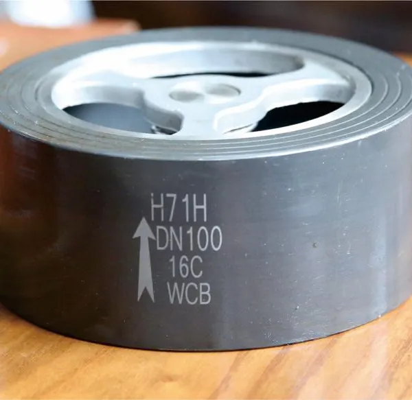温州 H71F(Y)对夹止回阀