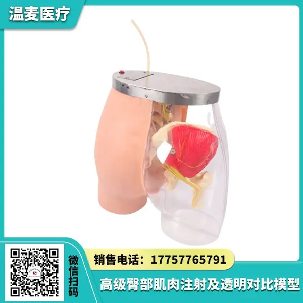 ����ҽ�� ***�β�����ע�估͸���Ա�ģ�� �����ṹ ��Ѫ��ϵͳ