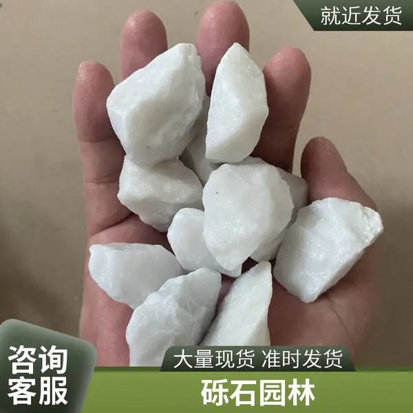 庭院家装铺面白色鹅卵石 砾石 园林美化造景机制天然小白石子
