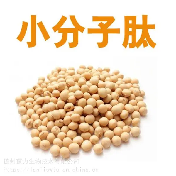 小分子肽厂大豆肽粉靠谱厂家