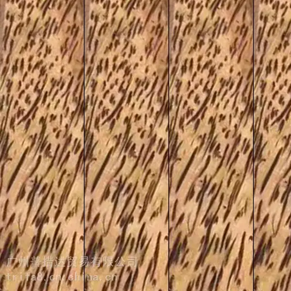 椰子树