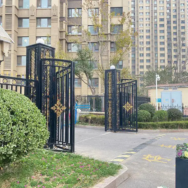 庭院铁艺大门 庭院进户门 批发定制 样式可选 防日晒雨淋