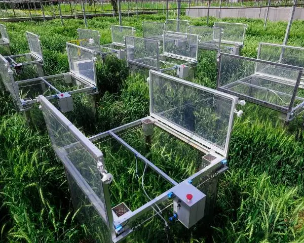 黍峰生物密植技术群体光合仪大概多少钱 上海黍峰生物科技供应