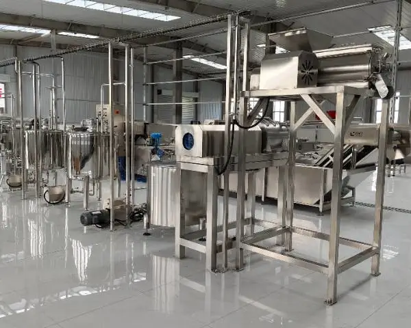 上海大型枸杞果汁加工生产线交钥匙工程 上海果丰机械设备供应