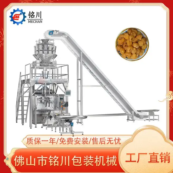 大立式散装称重桂圆干食品包装机械设备
