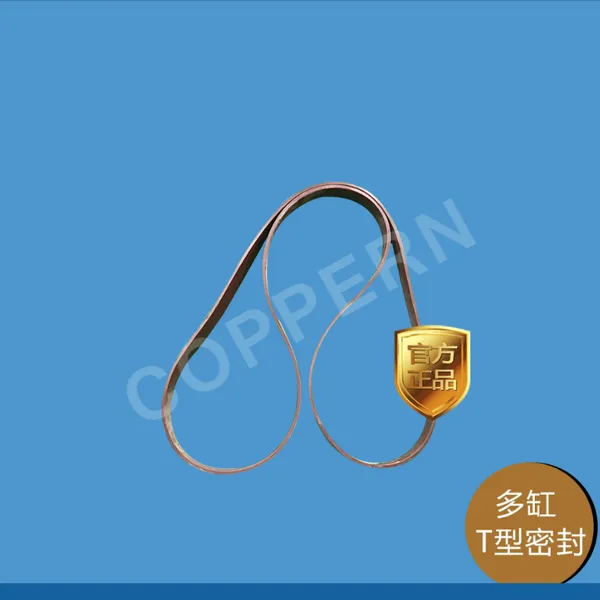 适用于矿山破碎机 圆锥破碎机配件 美卓HP5 T型密封