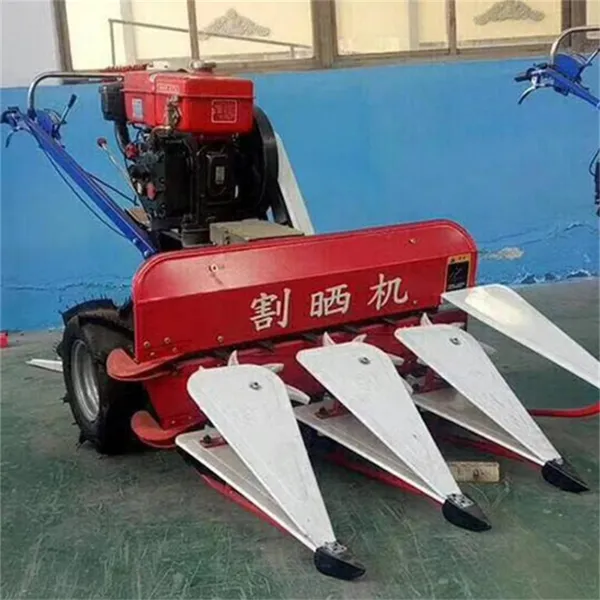 �๦��С����ޣ���ո��������С���ո�������ר���ո��