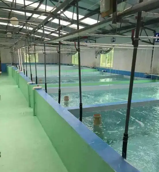 福州养殖漆哪家好福州养殖漆哪家便宜福建泳池专用涂料福建生态养殖漆