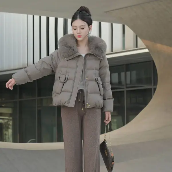 品牌雪佳乐 专柜撤柜 批发折扣 白鸭绒羽绒服 一手货源