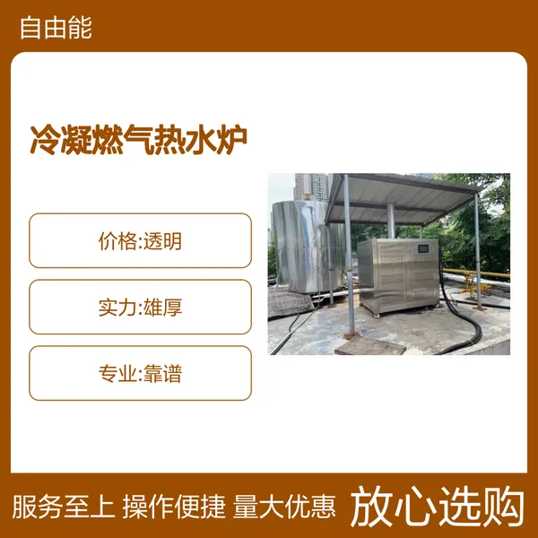 2000KW燃气锅炉 工业园区大型采暖热水设备 性能稳定