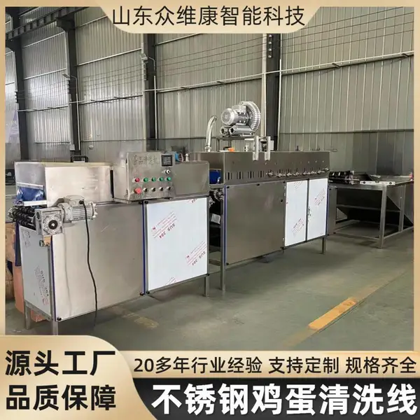单排商用鸡蛋清洗线 超市保洁蛋高效洗蛋机 不锈钢蛋品清洗设备