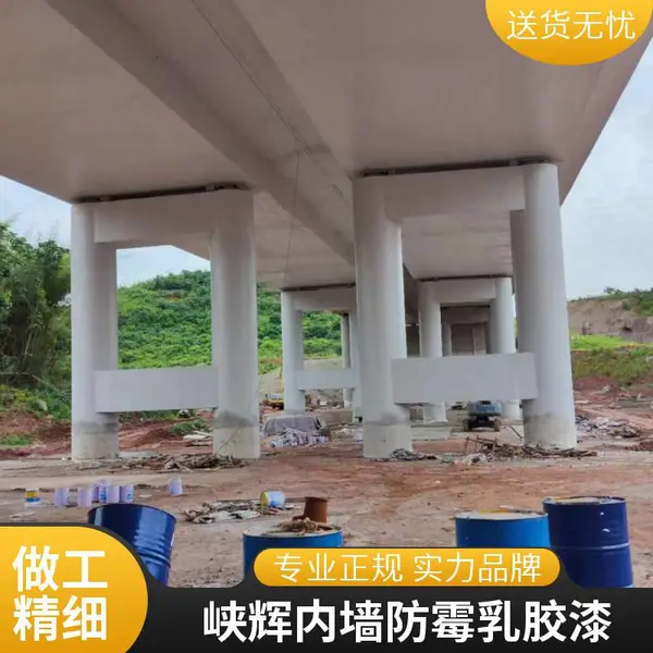 峡辉抗菌防霉乳胶漆 内墙涂料 学校医院专用 易施工