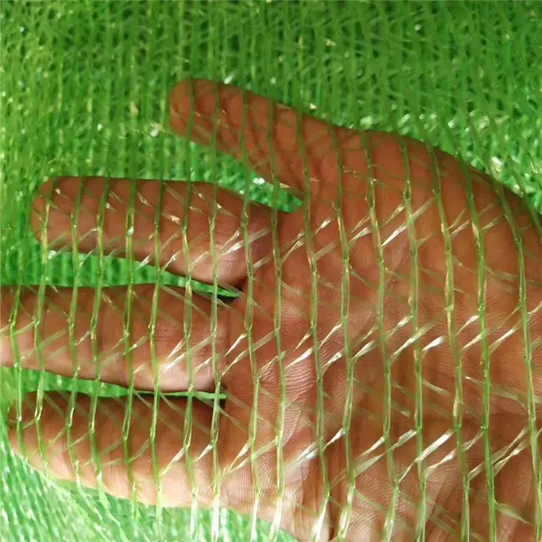 1.5������� �����ø��������� ���ڸ���������