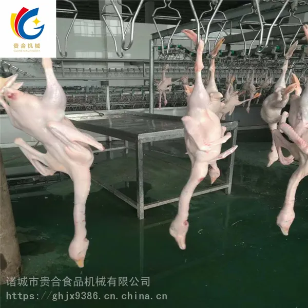 云南蛋鸡自动屠宰设备 肉鸡鸭自动宰杀流水线厂家直销