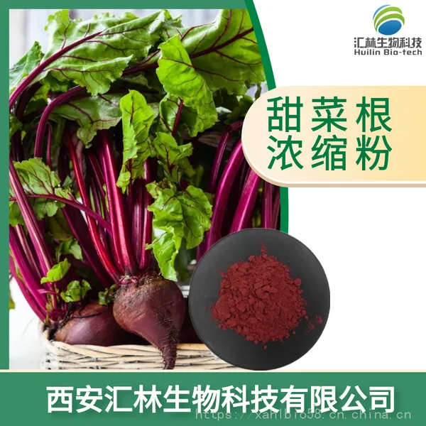 紫甜菜根粉 甜菜汁浓缩粉 红菜头 烘焙原料 喷雾干燥速溶粉 食品级