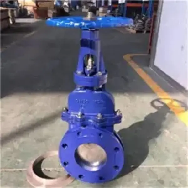 DMZ73X-10P DN200��ھ��ֶ����˵�բ�� ��ˮ�Լ�ʽ��բ��