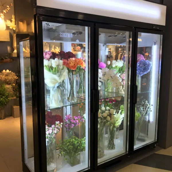 �ʻ����ʹ� ���껨�������� ר���ʻ���չʾ�� ��ع������˪����