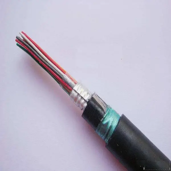 HYAT22-10*2*0.9mm����ͨ�ŵ���