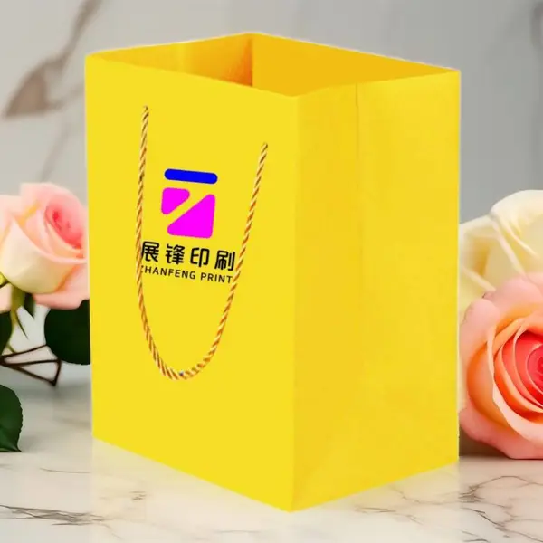 广州源头工厂皮具手提袋定制 女包男包***包包礼品纸袋可印LOGO
