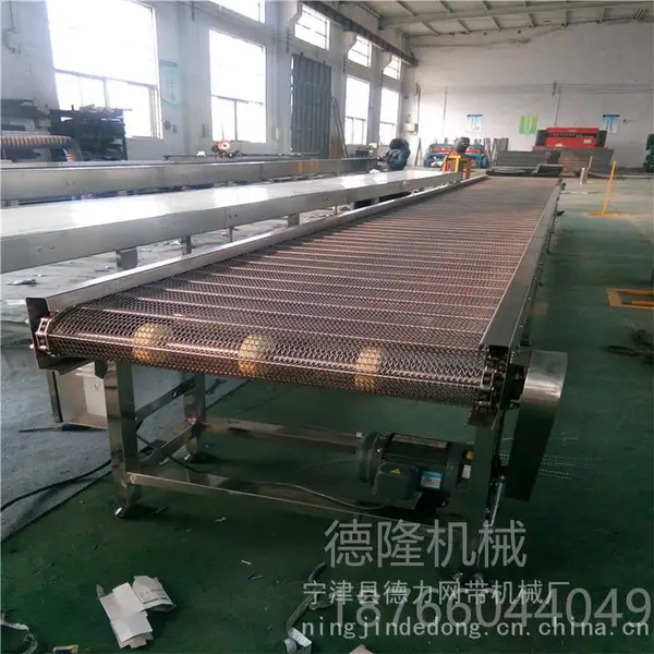 德力DL-4049 网带输送机海产品清洗沥水用链条传送带流水线