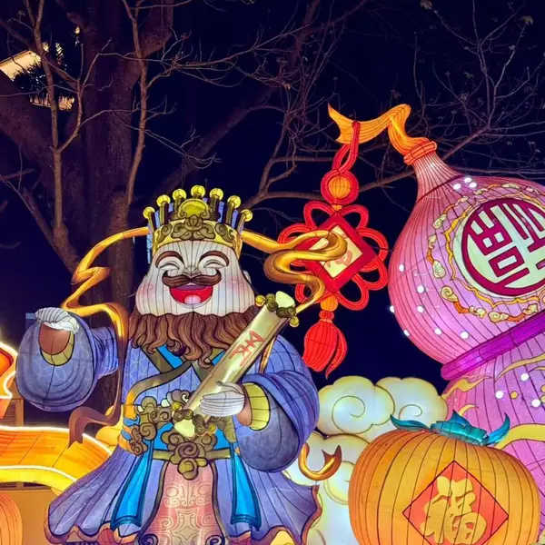 新年大型彩灯展 景区公园文旅夜游亮化 国朝花灯造型定制 组合式花灯摆件