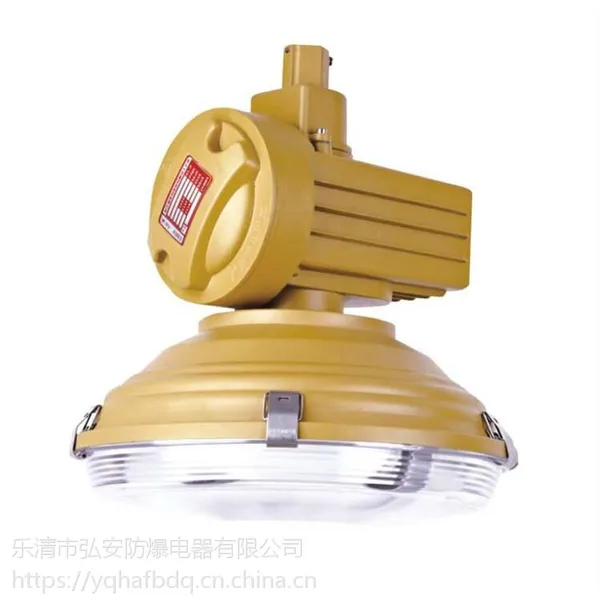 BZD-01防爆免维护低碳无极灯