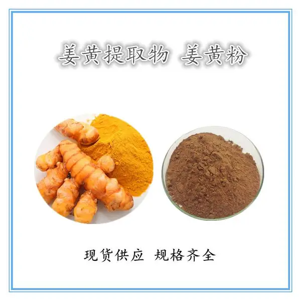 沃特莱斯供应 姜黄提取物 20:1浸膏粉 原料萃取 粉质细腻 现货