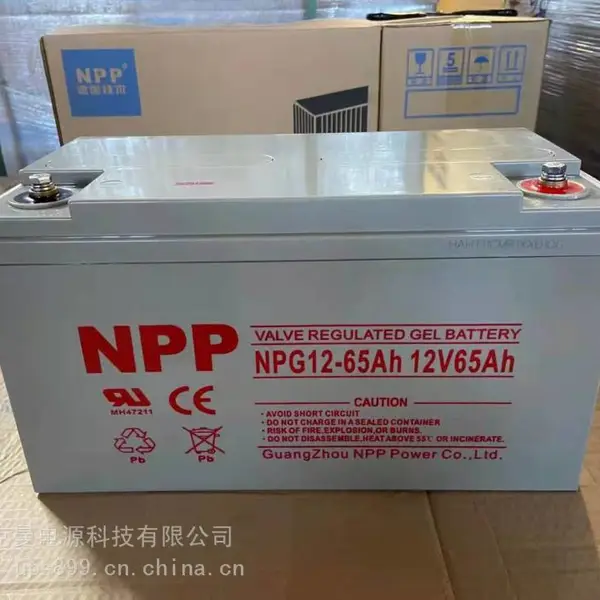 山东太阳能蓄电池耐普NPG12-65AH光伏逆变器单晶光伏板组件12V65AH