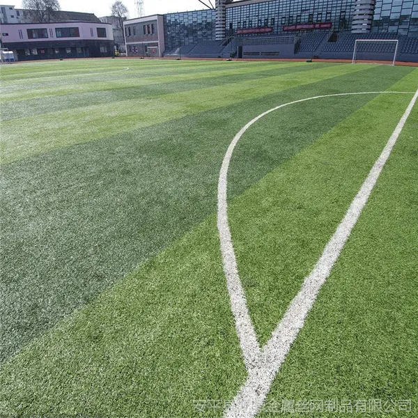 ��׼ٷ���� �����ֳ���������� ��ѧ�ٳ��ٲ�ƺ