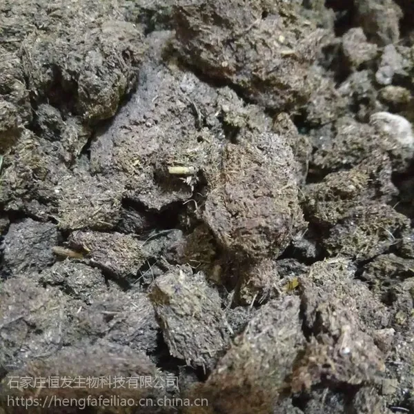 ���������ţ���������Ҽ۸� ��������������ţ���� ���¸�ţ���л��ʶ���Ǯһ��