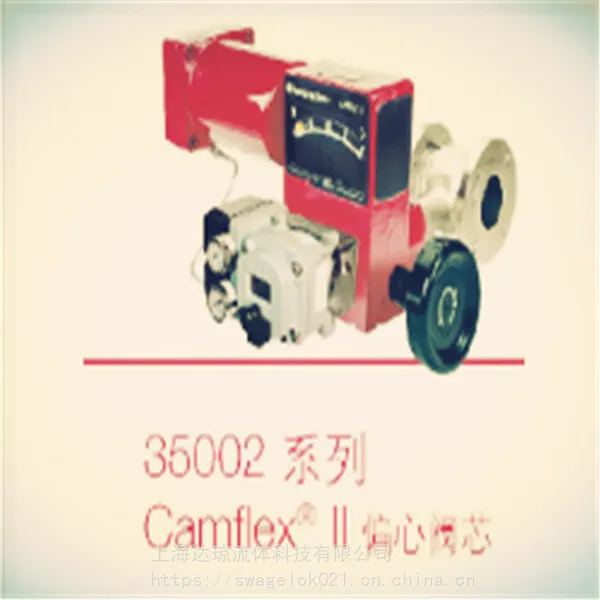 41005ֱͨ�ͺͽ������׵����ֻ� ����÷������Masoneilan