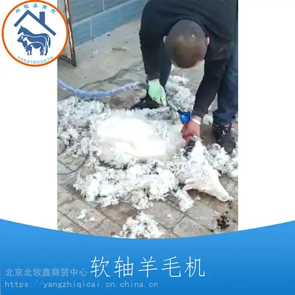 软轴式磨刀剪毛一体机好用