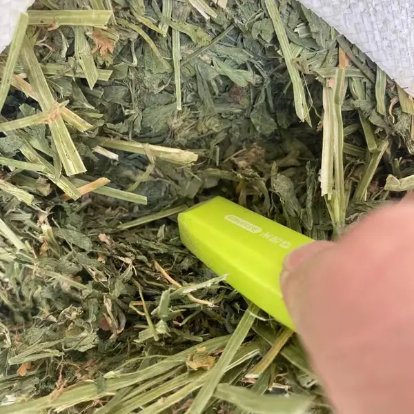 进口苜蓿草 美国进口苜蓿 进口苜蓿 进口紫花苜蓿草 美国苜蓿草