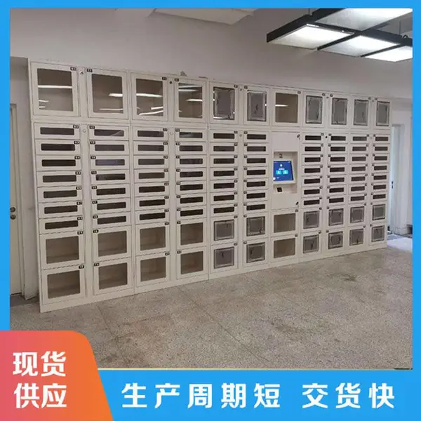人脸识别智能储物柜设备柜 高清触摸屏人机交互加强型电控锁