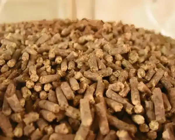 广州工业生物质气化炉服务热线 真诚推荐 广州佰宏新能源科技股份供应